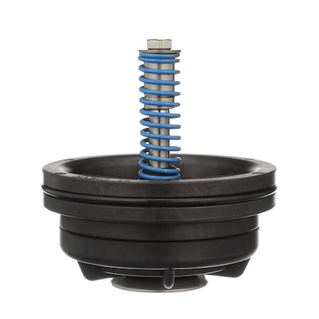 Wilkins Check assembly repair kit RK212-350CK1